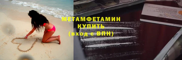 шишки Аркадак