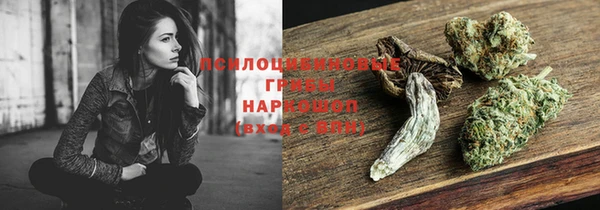 шишки Аркадак